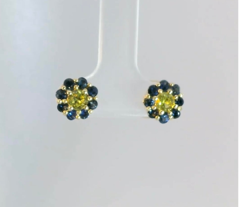 Charming Yellow & Blue Sapphire 9ct Gold Earrings. M92155