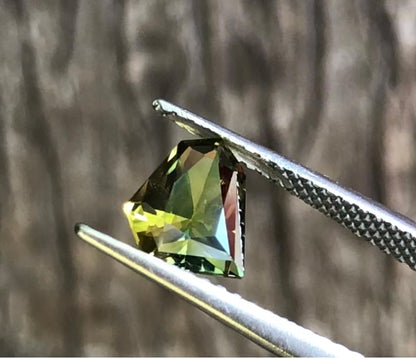 Bright Green Yellow Parti Sapphire. M972