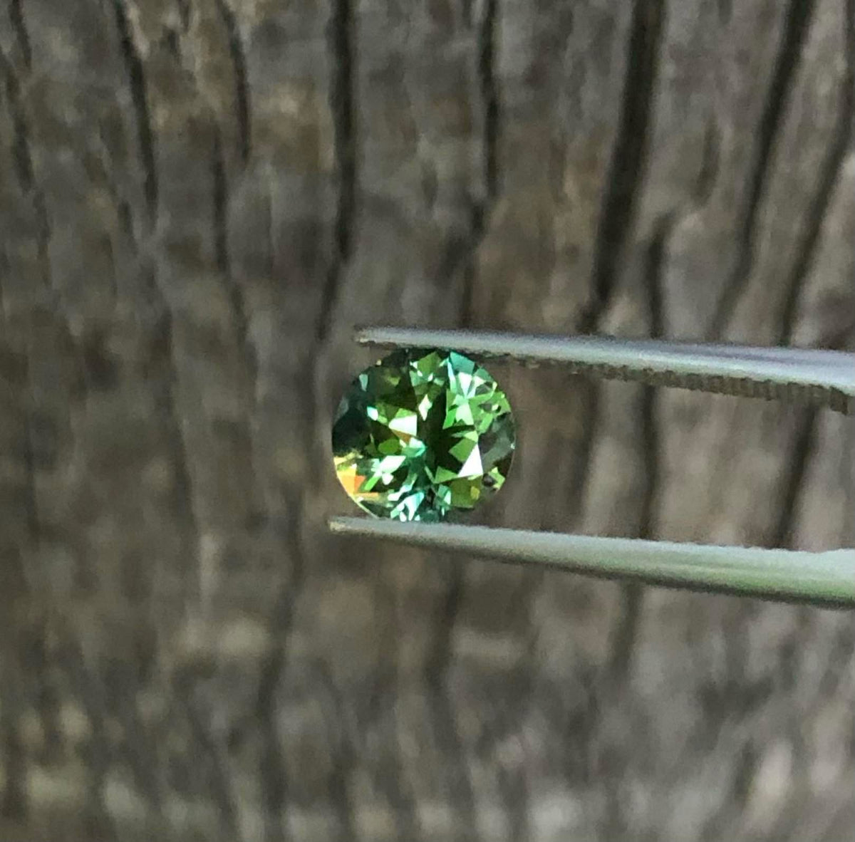 Beautiful Parti Sapphire. M1268