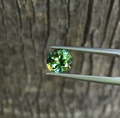Beautiful Parti Sapphire. M1268