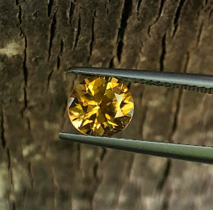 Vibrant Australian Zircon. M1277