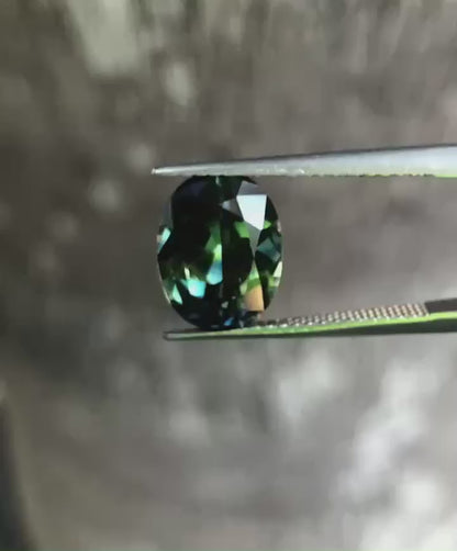 Vibrant Parti Sapphire. M1298