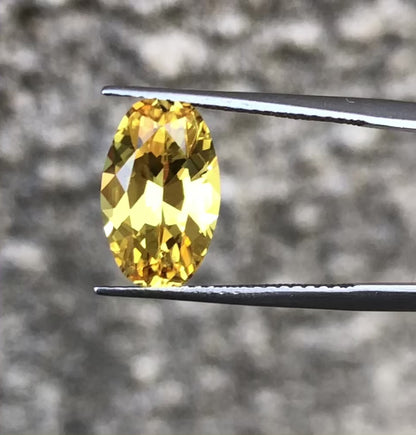 Stunning Australian Yellow Sapphire  M1107