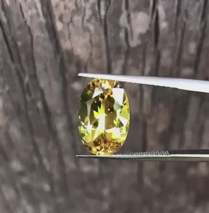 Stunning Yellow Green Parti Sapphire. M1303