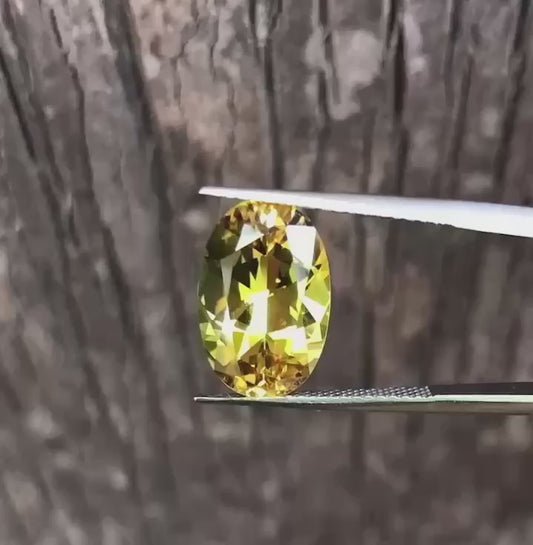 Stunning Yellow Green Parti Sapphire. M1303