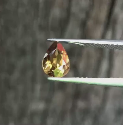 Honey coloured Zircon.  M1283