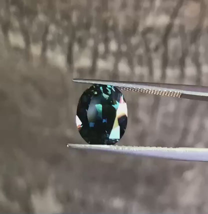 Spectacular Blue Yellow Parti Sapphire. M1262