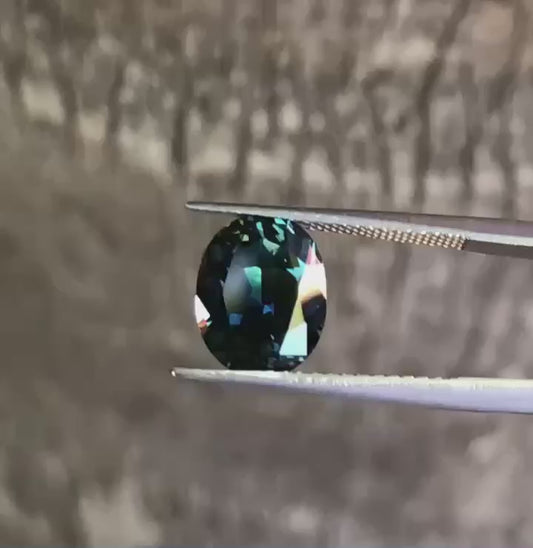 Spectacular Blue Yellow Parti Sapphire. M1262