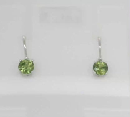 9ct White Gold Earrings M92029