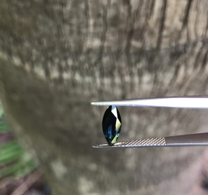 Rich Blue Sapphire. M1249