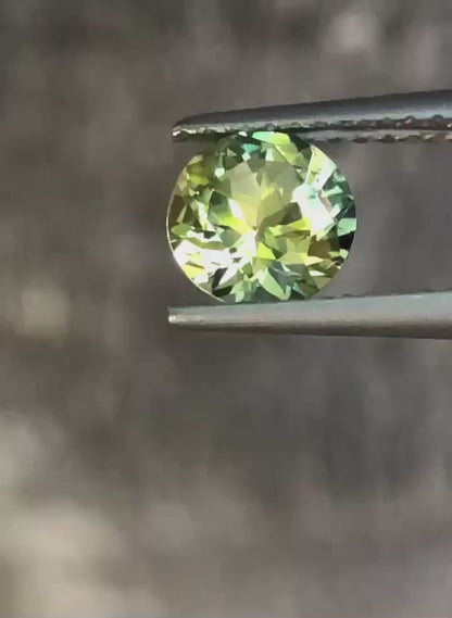 Gorgeous Parti Sapphire. M1273