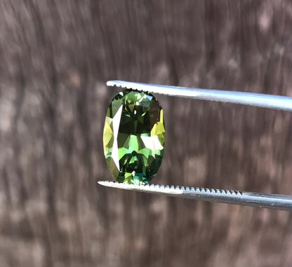 Stunning Green Australian Sapphire. M794