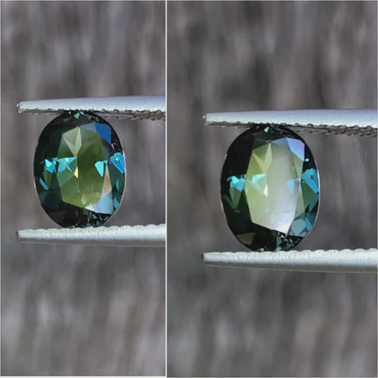 Stunning Blue Yellow Parti Australian Sapphire. M950