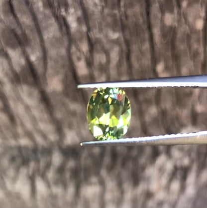 Bright Yellow Green Parti Australian Sapphire. M1019